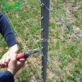 Kualitas tinggi American Type Metal T Post Fence